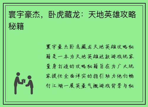 寰宇豪杰，卧虎藏龙：天地英雄攻略秘籍